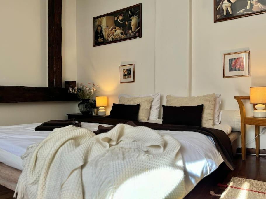 Old Town Prague Apartment Kültér fotó